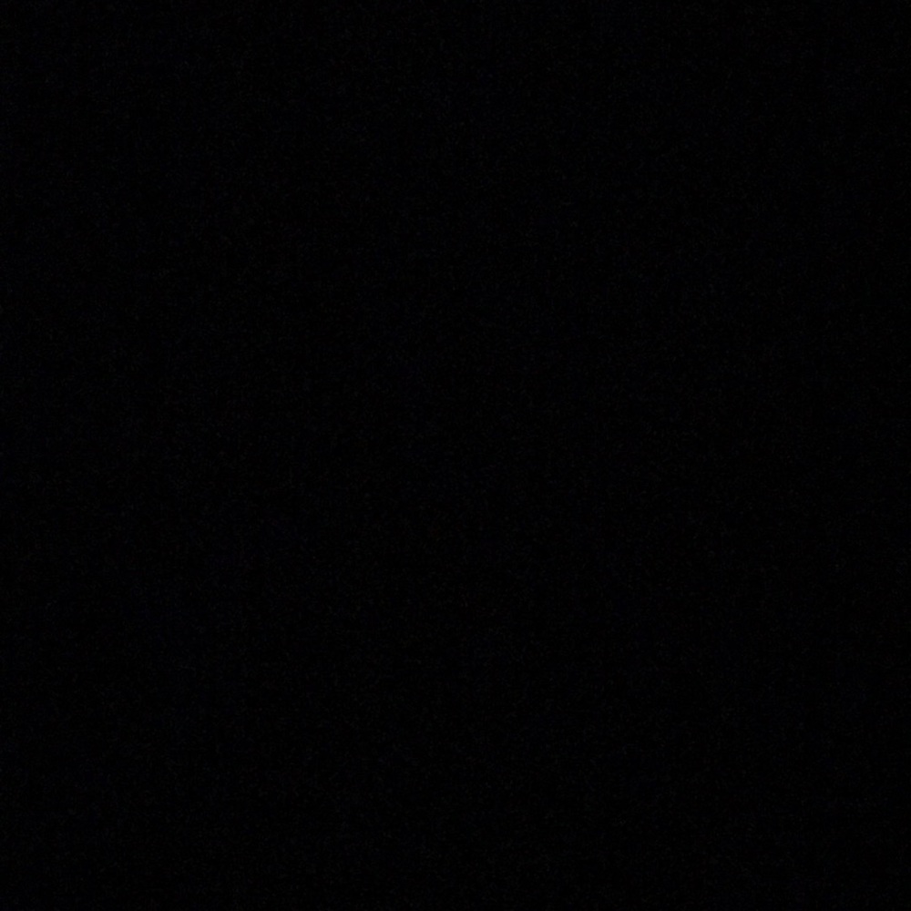 Meet your Posher, Evelyn